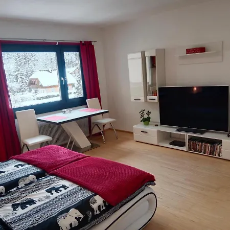 Dachstein Apartman *