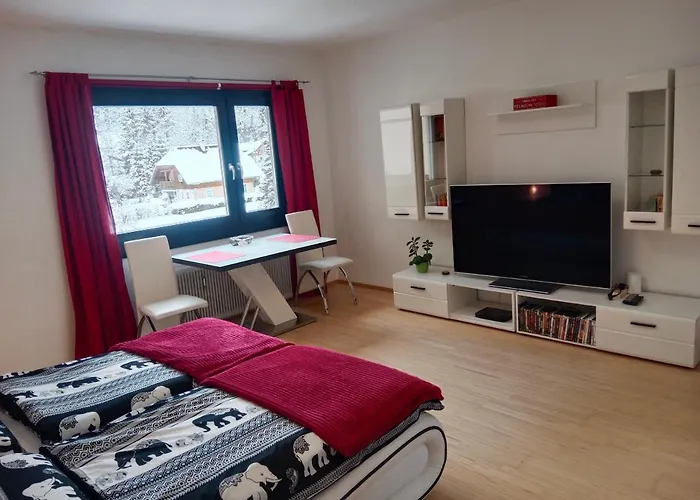 Dachstein Apartament *